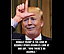 djt_meme-183.jpg