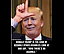 djt_meme-53.jpg