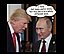 djt_meme-71.jpg